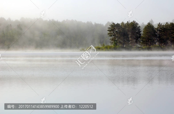 霧