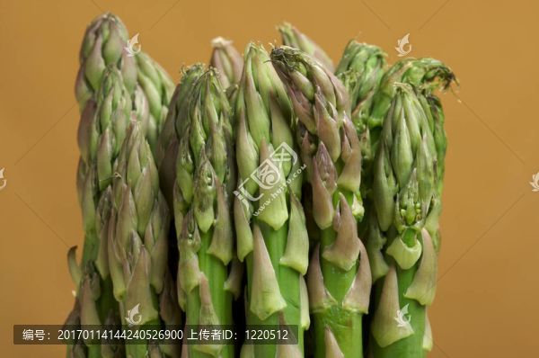 新鮮的有機(jī)asperagus