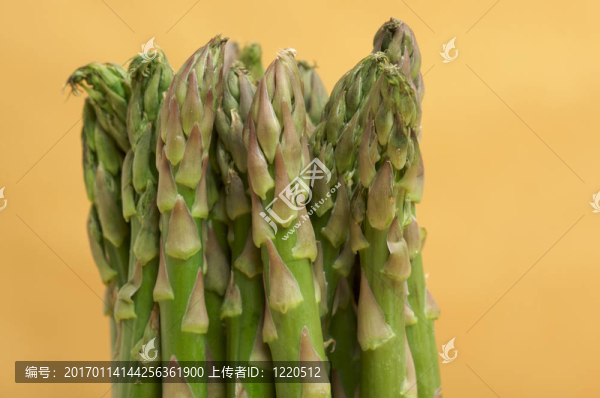 新鮮的有機(jī)asperagus