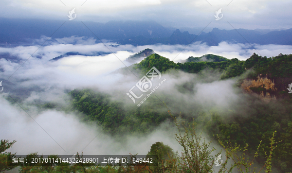 秦嶺,巴山,高云山,大山,云霧