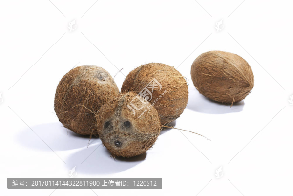椰子
