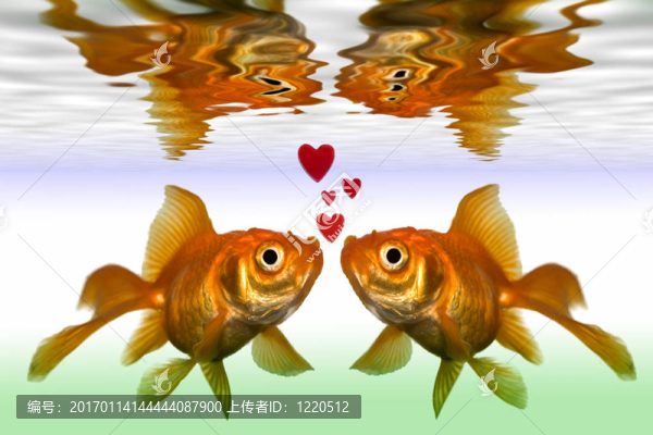 魚
