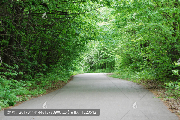 春天公園的小路