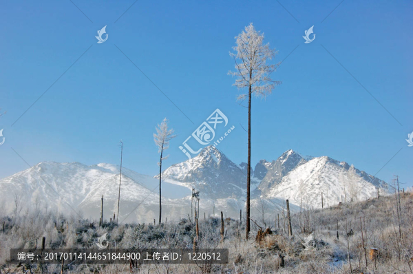 上塔特拉山