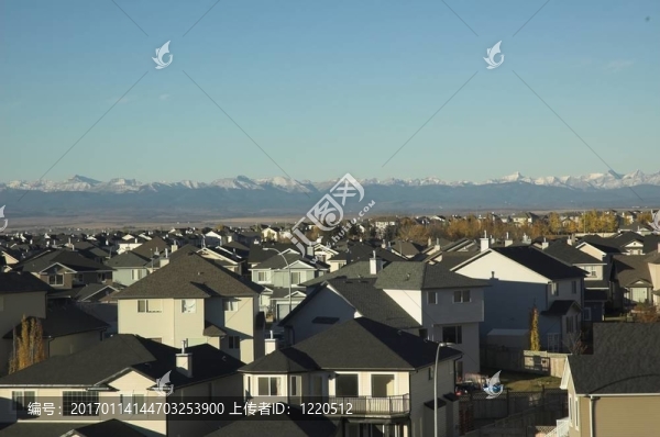 郊區(qū)的屋頂
