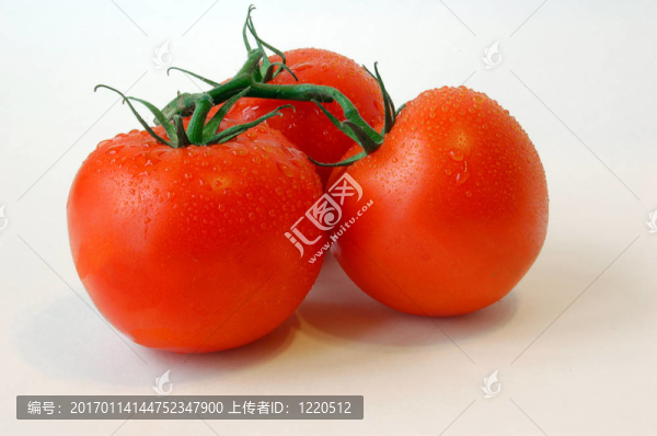 西紅柿