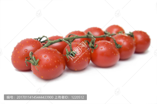 桁架的西紅柿