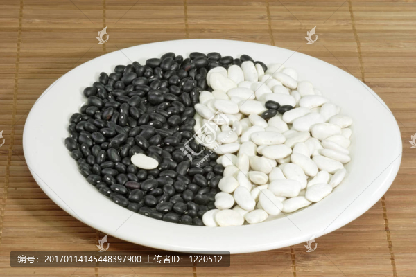 陰陽