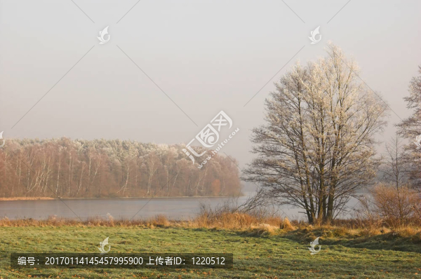 鄉(xiāng)村景色