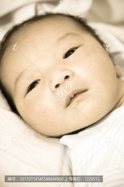 可愛的小男孩