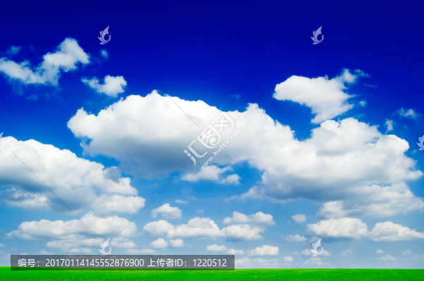 綠色的田野