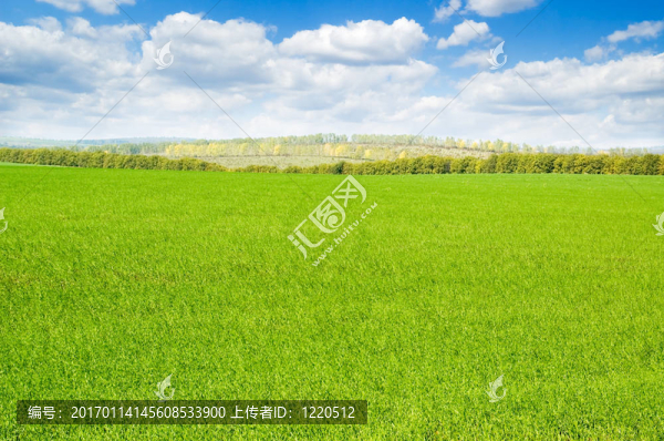 綠色
