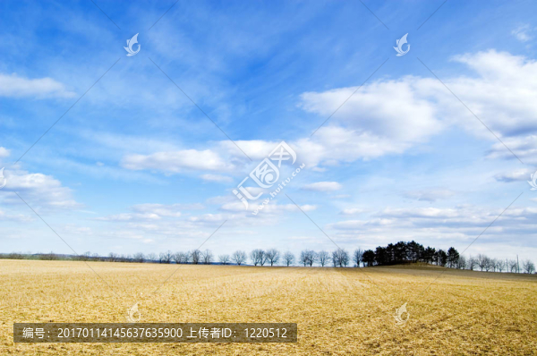 秋天的田野