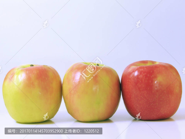 新雅-匯圖網(wǎng) www.fosd68.com 新雅