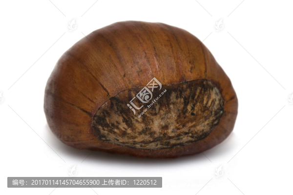 板栗