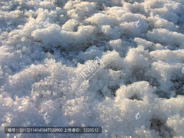 雪在特寫鏡頭