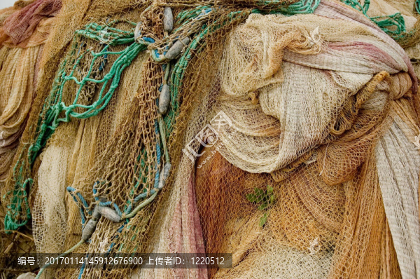 漁網(wǎng)