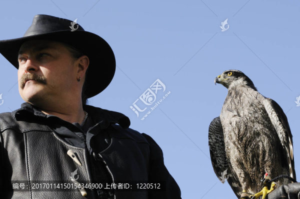 蒼鷹和處理程序