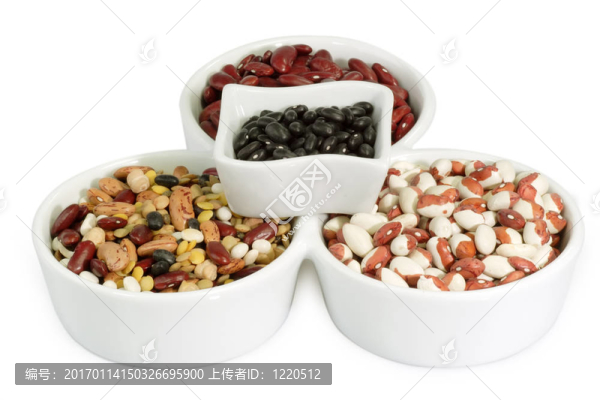 不同種類(lèi)的豆科植物