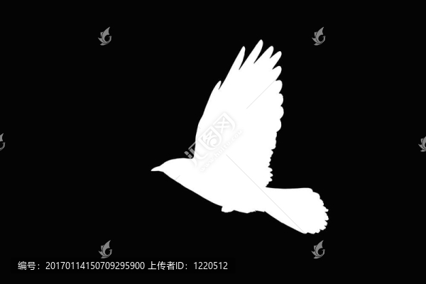 飛昂