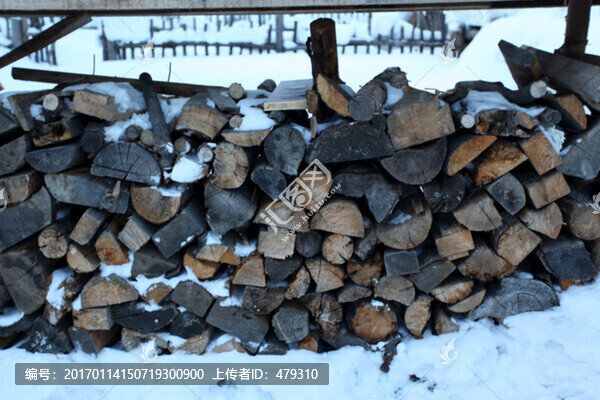 燒柴,木材,木材橫截面-匯圖網(wǎng) www.fosd68.com 燒柴,木材,木材橫截面