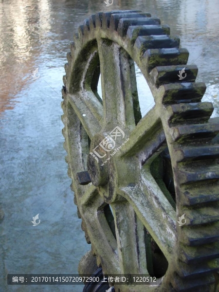 cogwheel1