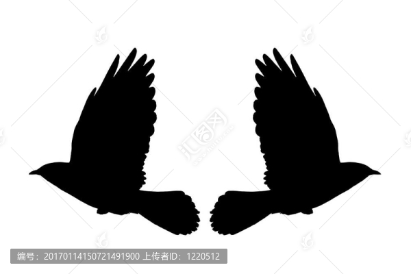 飛昂