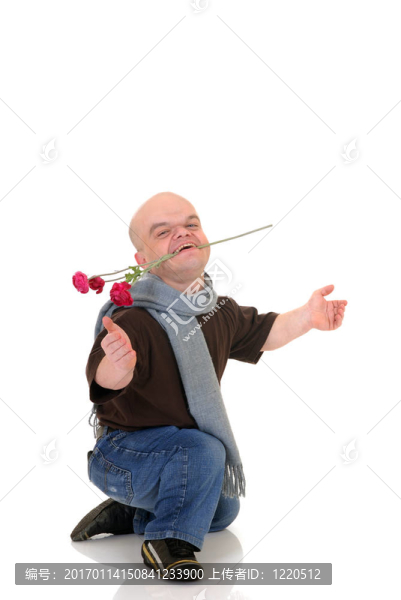 矮小的；有玫瑰的小矮人