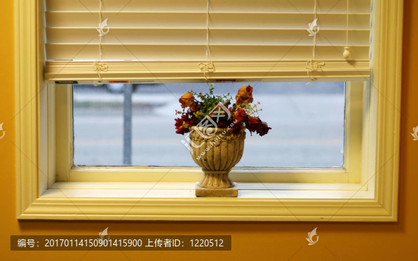 窗戶上的花
