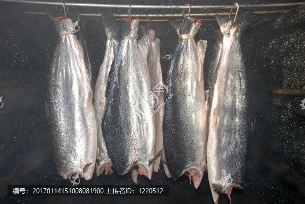 煙熏鮭魚