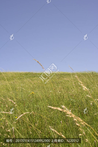 綠地藍(lán)天-匯圖網(wǎng) www.fosd68.com 綠地藍(lán)天