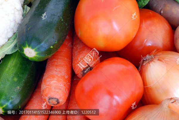新鮮蔬菜