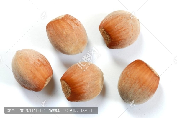 榛果