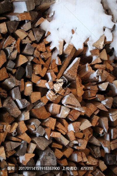 燒柴,木材,木材橫截面