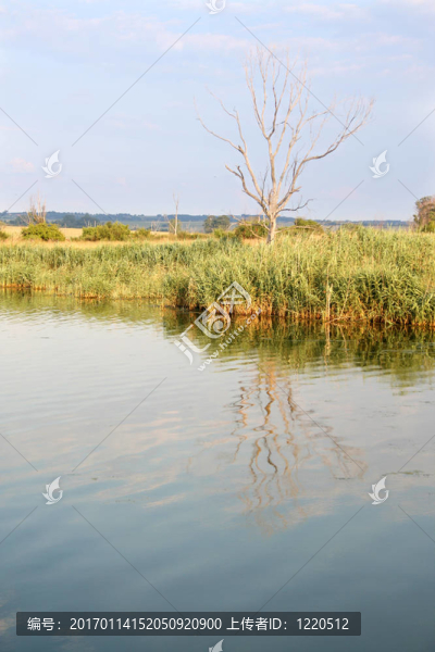 反射-匯圖網(wǎng) www.fosd68.com 反射