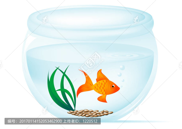 魚缸-匯圖網(wǎng) www.fosd68.com 魚缸