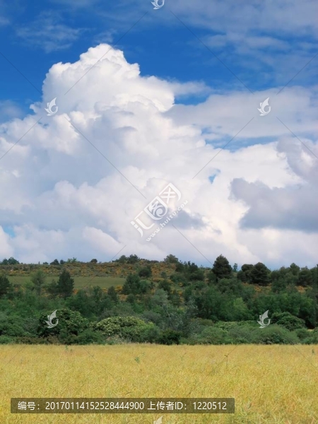 普羅旺斯景觀-匯圖網(wǎng) www.fosd68.com 普羅旺斯景觀