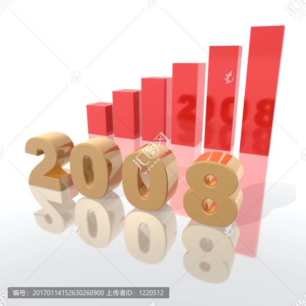 新的一年2008