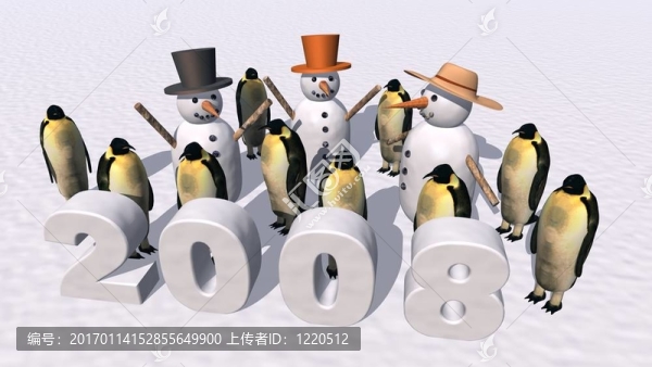 新的一年2008