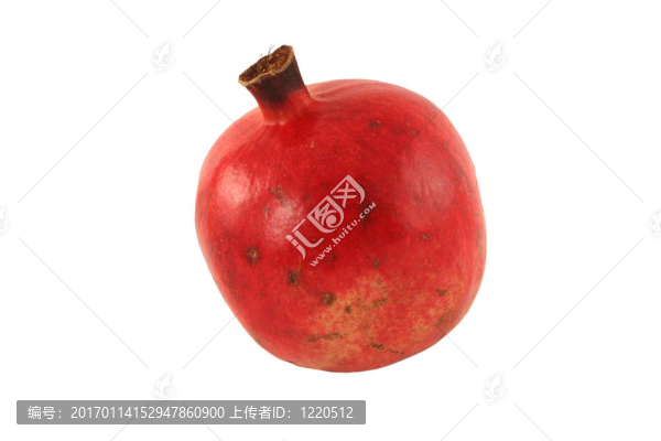 白色背景上的孤立石榴
