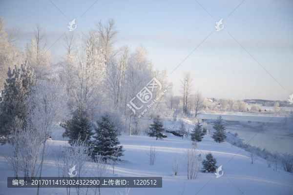 冬天的風景
