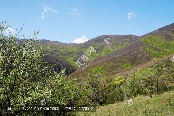 山地景觀