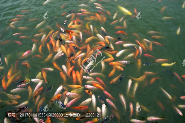 挑剔