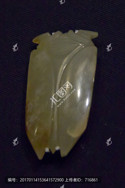 玉蟬-匯圖網(wǎng) www.fosd68.com 玉蟬