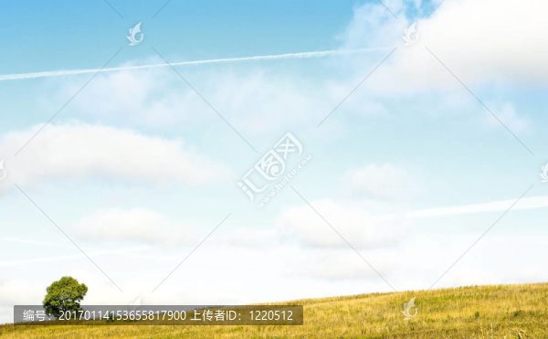 黃月。