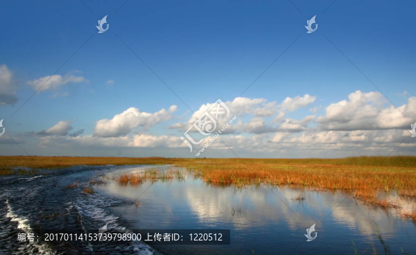 風(fēng)景景觀