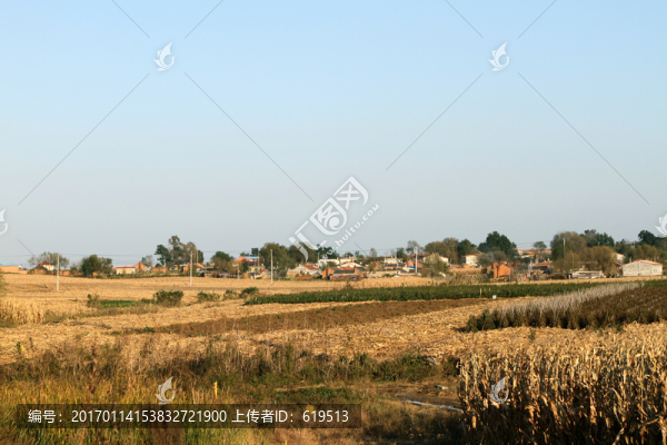 希望的田野,豐收的田野