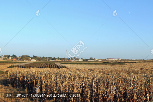 秋日收獲之后的田野