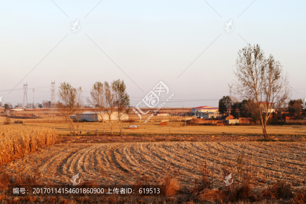 希望的田野,豐收的田野