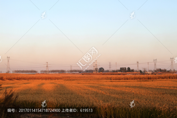 希望的田野,豐收的田野